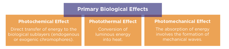 biological effects of laser-685169-edited.png