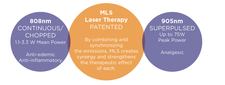 Choosing The Right Therapy Laser For Veterinary Practice Cutting Edge Lasers Therapy Laser Provider
