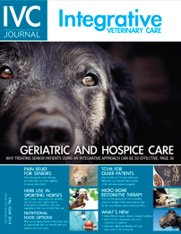 IVC_Vet_mag_thumbnail.png